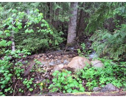 Lot A Upper Gibson Road, Pass Creek, BC V1N4S9 Photo 5