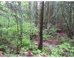 Lot A Upper Gibson Road, Pass Creek, BC V1N4S9 Photo 2