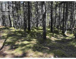 Lot 1 24 Sweetland Road, Sweetland, NS B0J1E0 Photo 3