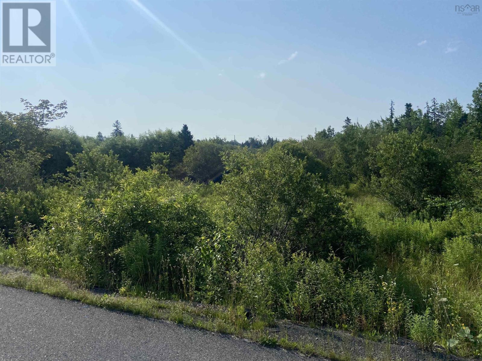 Lot 11 3 Beaton Court, Antigonish, NS B2G2K1 Photo 4