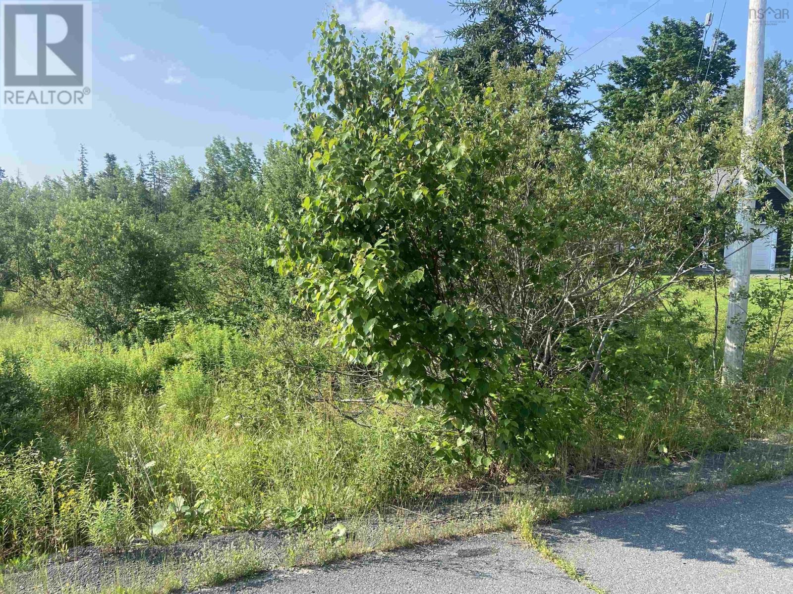 Lot 11 3 Beaton Court, Antigonish, NS B2G2K1 Photo 6