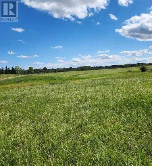 32079 Willow Way, Rural Rocky View County, AB T4C2Y4 Photo 6