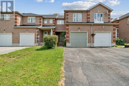 13 Black Cherry Crescent, Barrie Holly