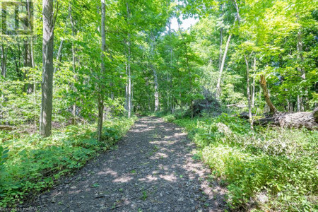 142 Perch Cove Route, Napanee