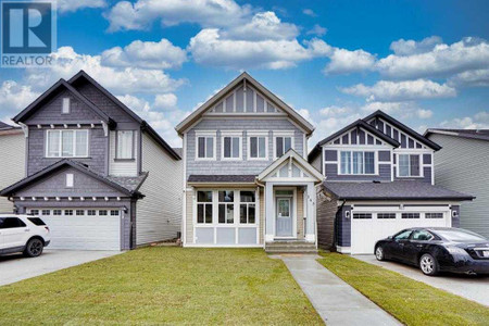 163 Skyview Point Crescent Ne, Calgary