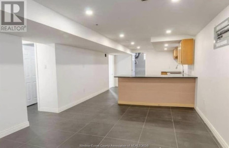 1643 Partington Unit Lower, Windsor