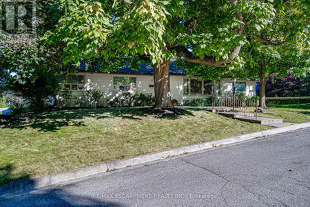 17 Bendermeer Street, Hamilton Dundas