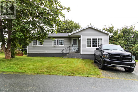 17 Butlers Road N, Conception Bay South