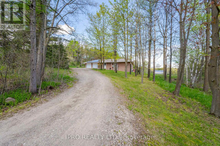 18697 Centreville Creek Rd, Caledon