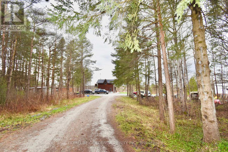 Bedroom - 1871 County Rd 46 Road, Kawartha Lakes, ON K0M2T0 Photo 1