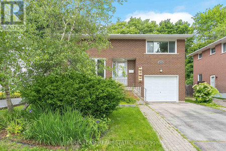 188 Napier Street, Barrie Codrington