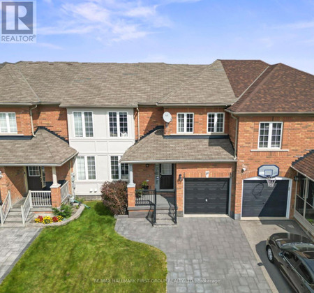 19 Edenfield Street, Brampton Sandringham Wellington