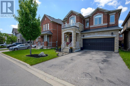 19 Humphrey Street, Hamilton Waterdown