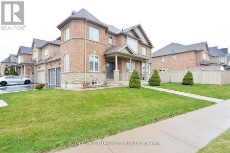 2 Addiscott Street, Brampton Sandringham Wellington