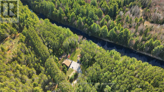 22 Winchester Drive, Kawartha Lakes Burnt River