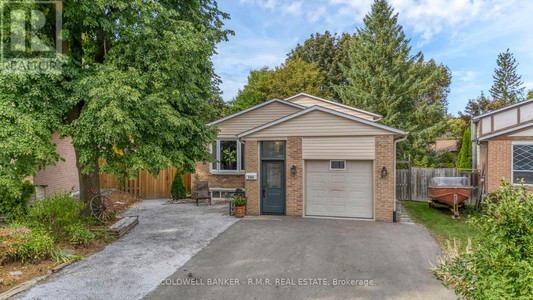 249 Lloyd Avenue, Newmarket Central Newmarket