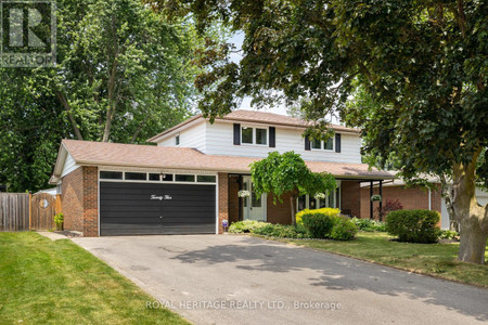 Living room - 25 Burningham Crescent, Ajax, ON L1S6A3 Photo 1