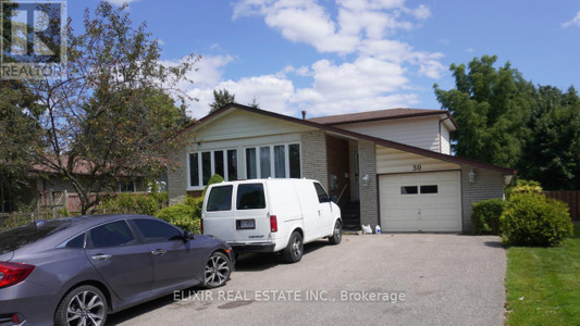 30 Trotters Lane, Brampton