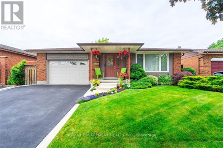 31 Ackland Street, Hamilton Stoney Creek Mountain