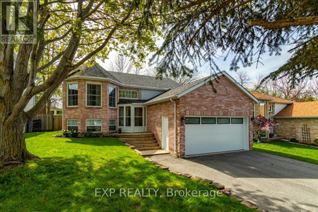 Kitchen - 35 Reid Cres, Collingwood, ON L9Y4J9 Photo 1