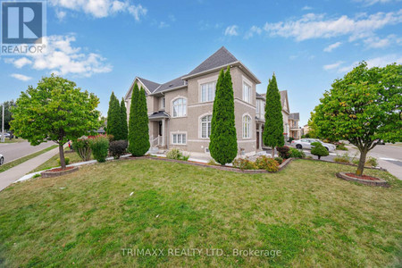 40 Hot Spring Road, Brampton Sandringham Wellington