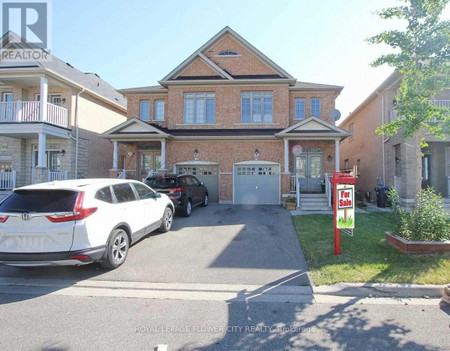 41 Speedwell St, Brampton