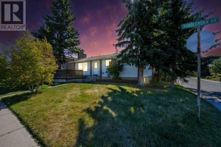 4203 Rundlehorn Drive Ne, Calgary