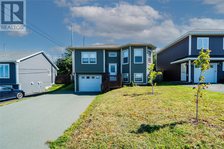 45 Cole Thomas Drive, Conception Bay South