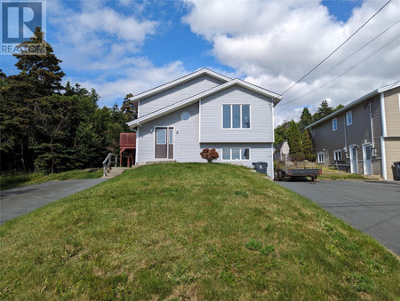 47 Swansea Street, Conception Bay South