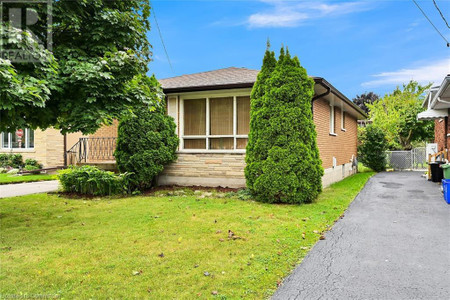 56 Moxley Drive, Hamilton