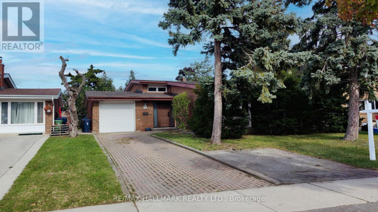 58 Masseygrove Crescent, Toronto Mount Olive Silverstone Jamestown