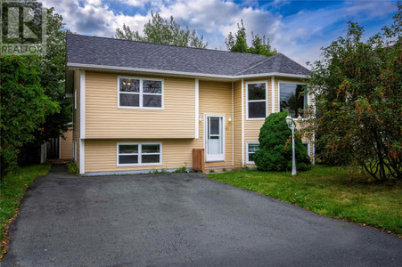 61 Red Bridge Road, Conception Bay South