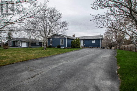 8 Spruce Hill Place, Conception Bay South