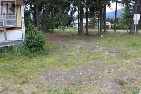 915 Highway 23, Nakusp