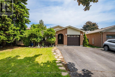 Bsmt 3 Swanston Crescent, Ajax South West