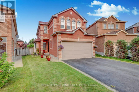 Bsmt 45 Marley Court, Markham Middlefield