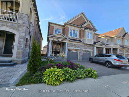 Bsmt 48 Drizzel Crescent, Richmond Hill