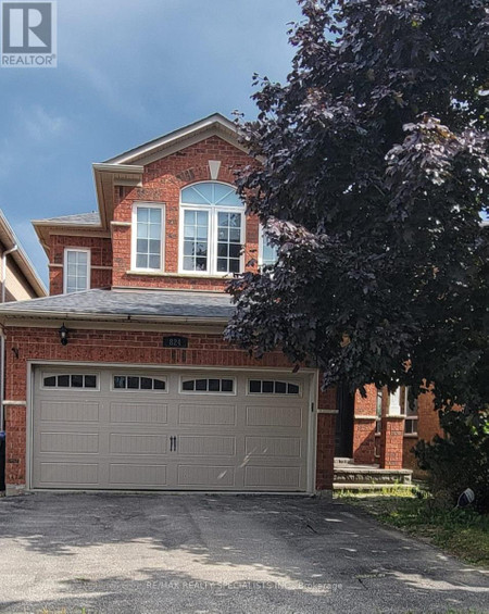 Bsmt 824 Ledbury Crescent, Mississauga East Credit