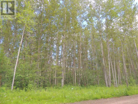 Lot 49 Wapiti River Sw 21 69 10 W 6, Rural Grande Prairie No 1 County Of