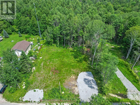 Lot 8 Crego Street, Kawartha Lakes