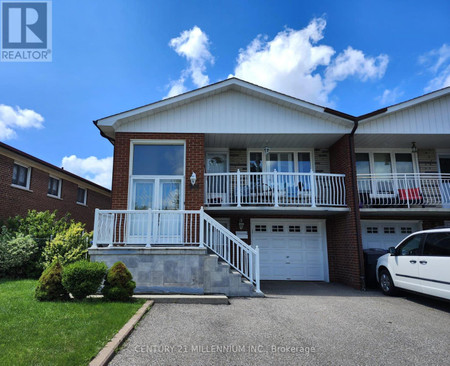 Lower 3638 Molly Avenue, Mississauga Mississauga Valleys