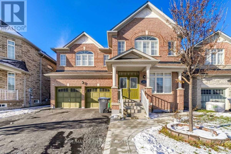 Lower 61 Lyndbrook Cres, Brampton