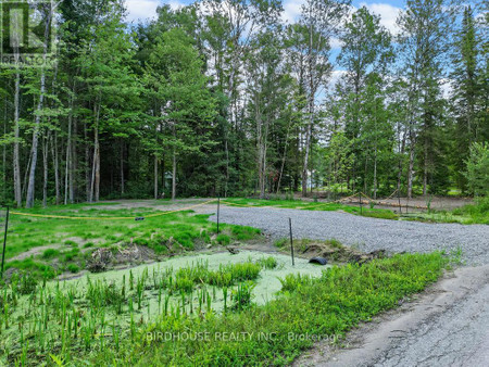 Lt 6 Crego Street, Kawartha Lakes