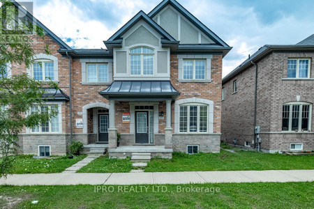 Main 19 Thornapple Street, Brampton Sandringham Wellington North